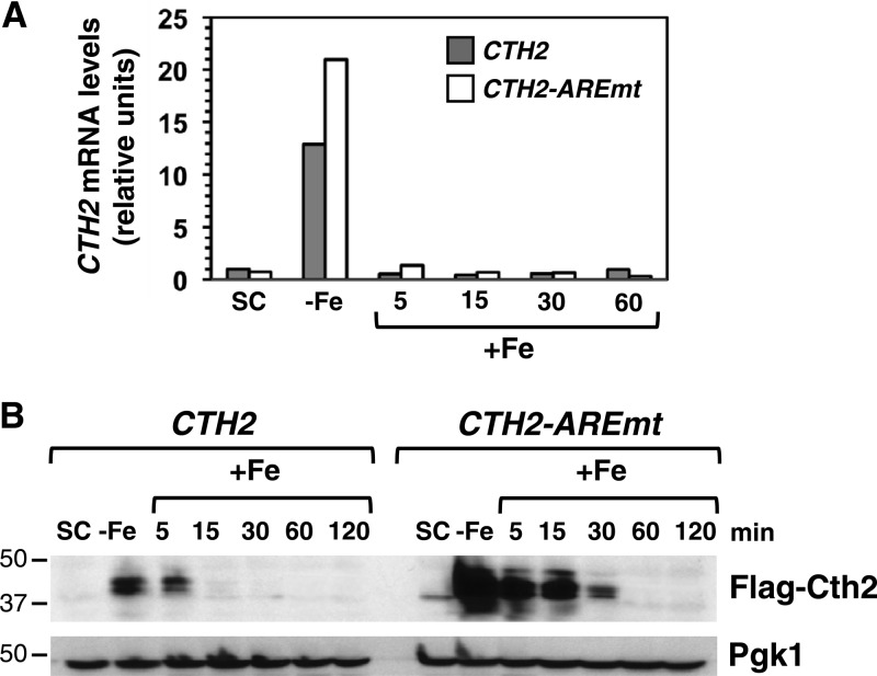 Fig 4