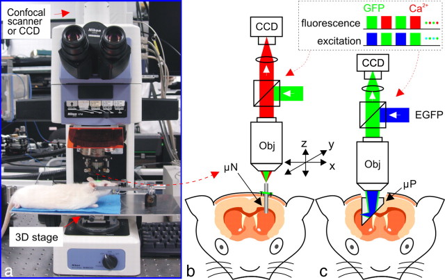 Figure 1.