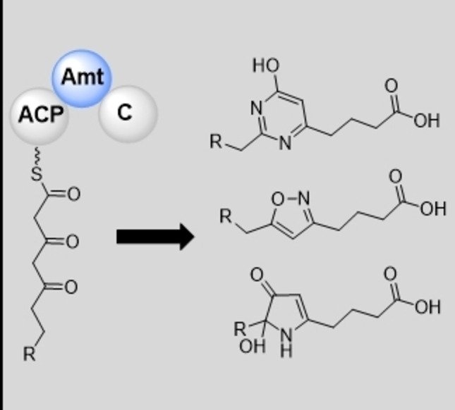 graphic file with name CHEM-27-16654-g004.jpg