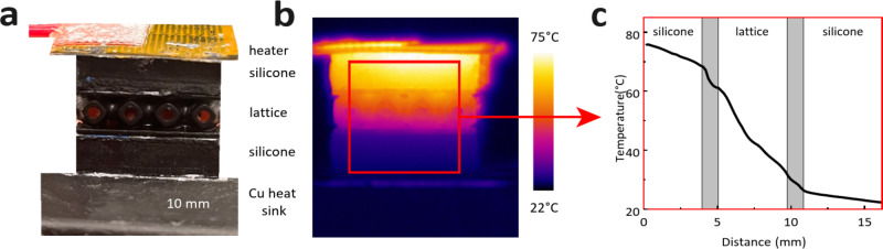 Fig. 10