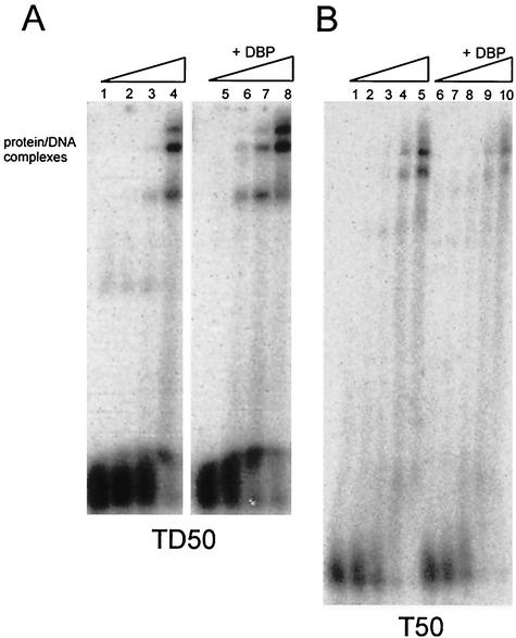 FIG. 5.