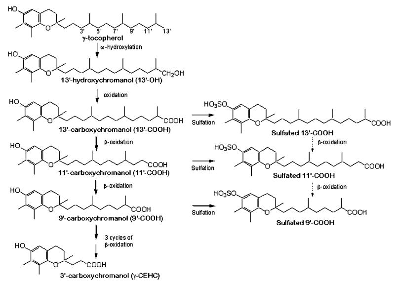 Scheme 2