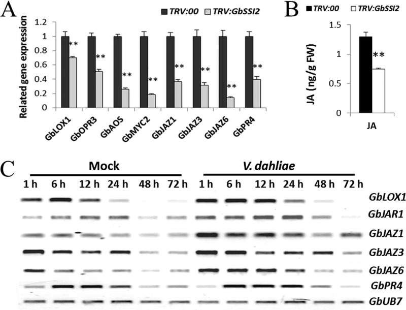 Fig. 7.