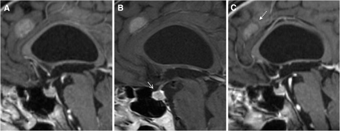 Fig. 5