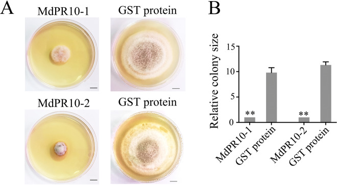 Fig. 4