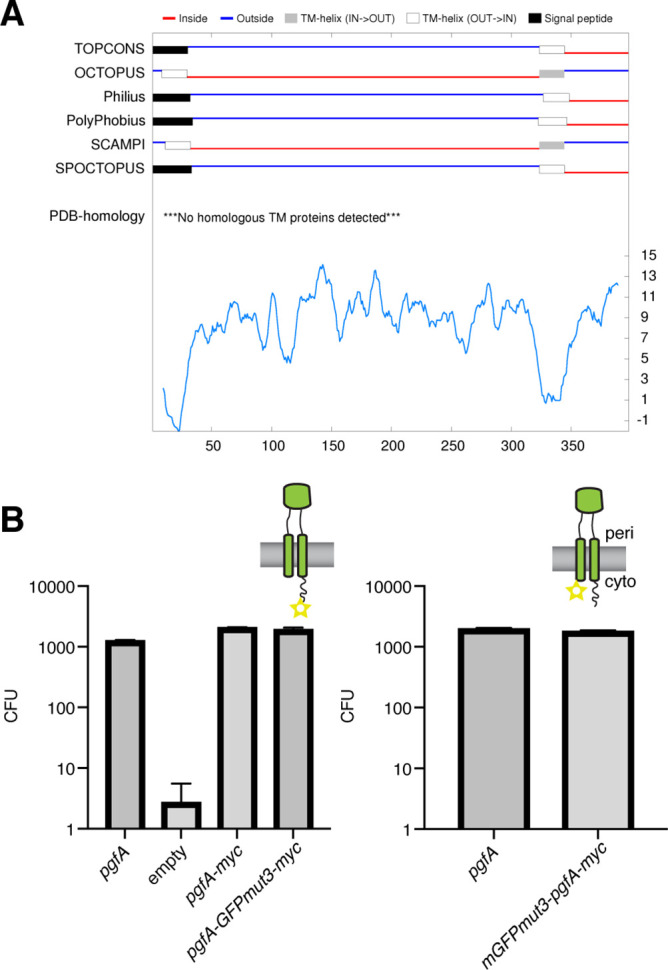 Figure 3—figure supplement 2.