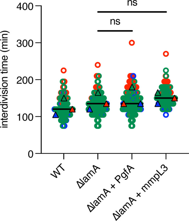 Figure 5—figure supplement 1.