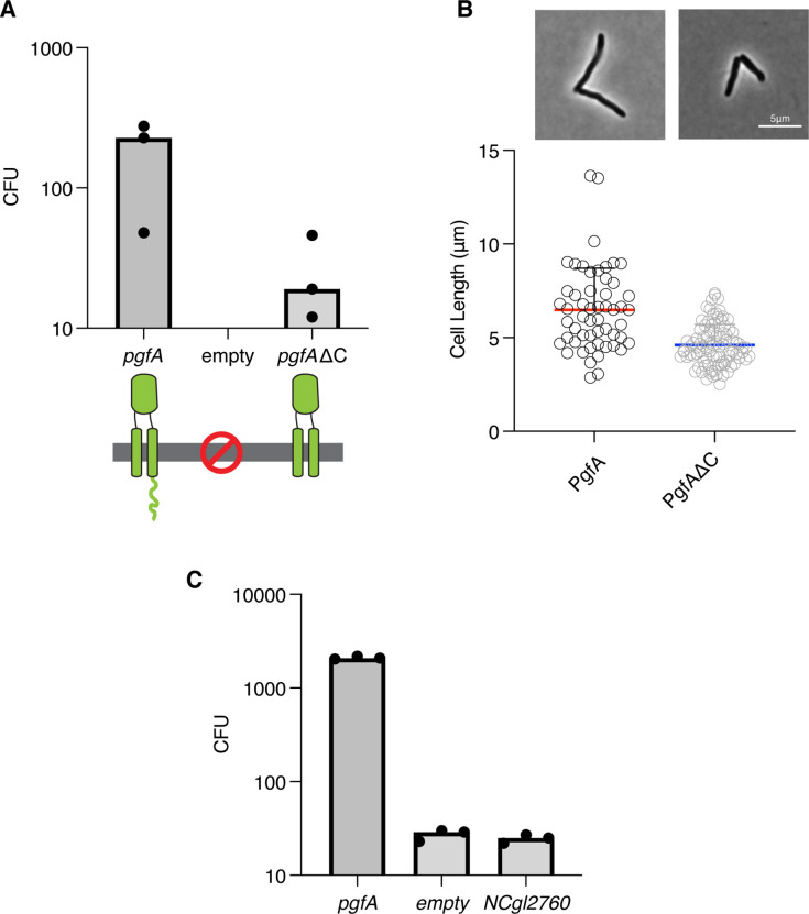 Figure 4—figure supplement 2.