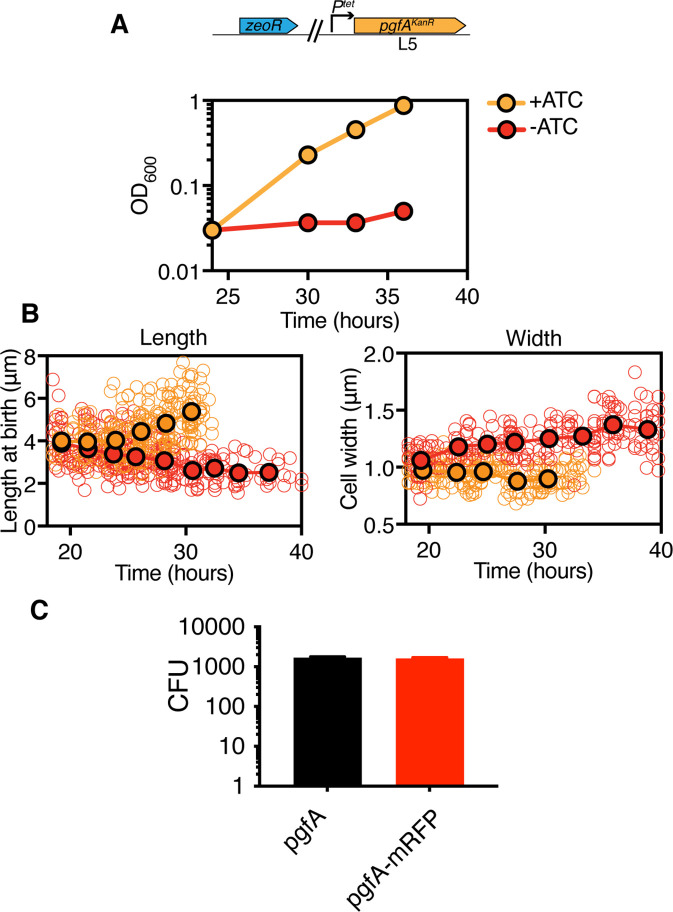 Figure 1—figure supplement 1.