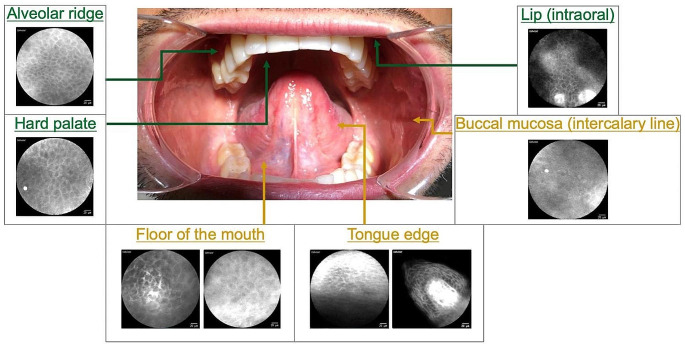 Fig. 7