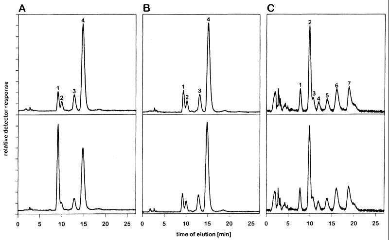 FIG. 1