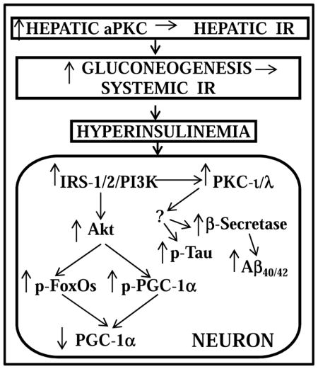 graphic file with name nihms912346u1.jpg