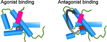 graphic file with name nihms-981010-f0001.jpg