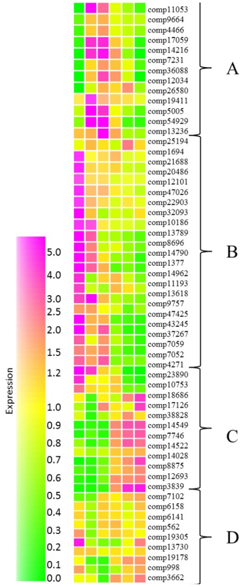 FIGURE 6