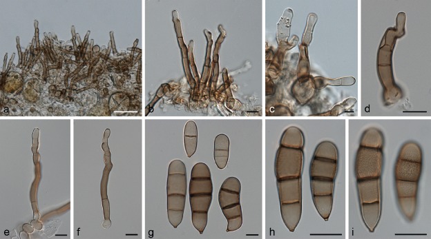 Fig. 26.