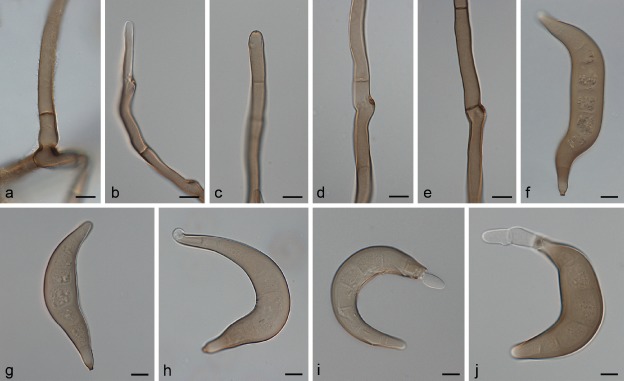 Fig. 23.