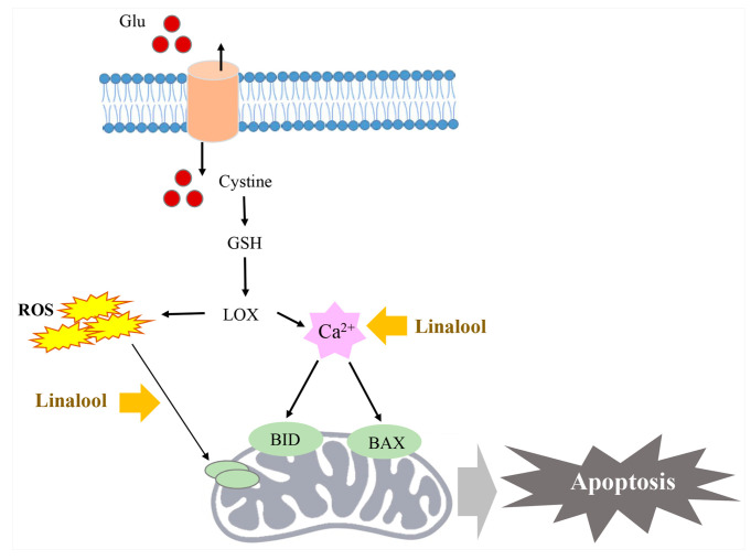 Figure 7