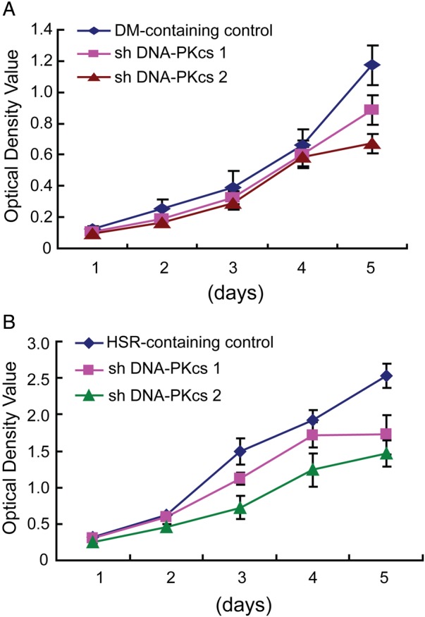 Figure 5