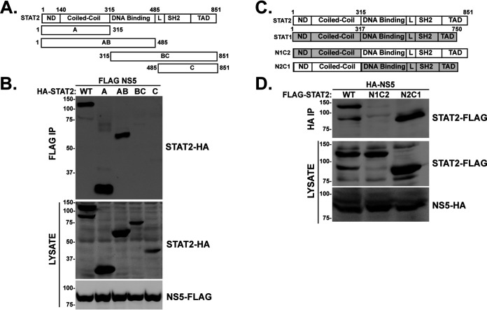 FIG 2