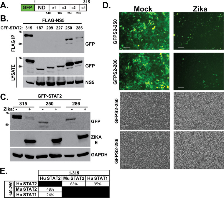 FIG 6