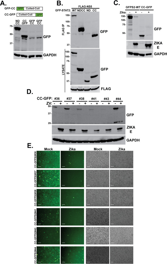 FIG 4