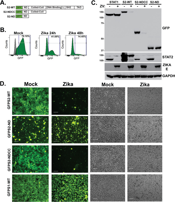 FIG 3