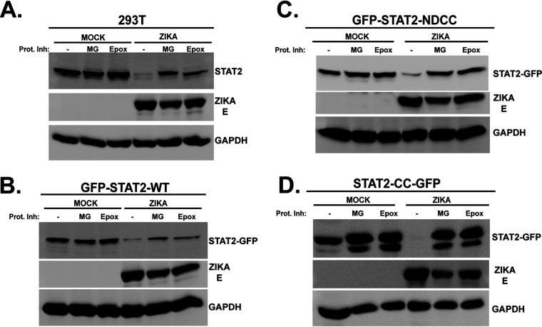 FIG 5