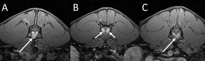 Figure 10