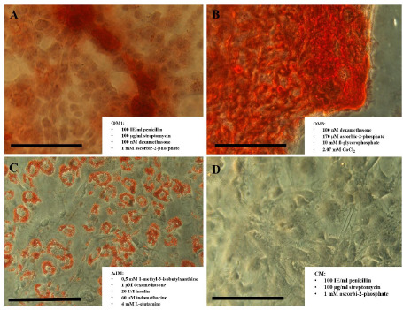 Figure 6: