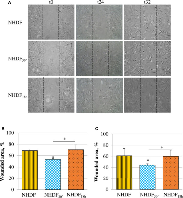 Figure 4