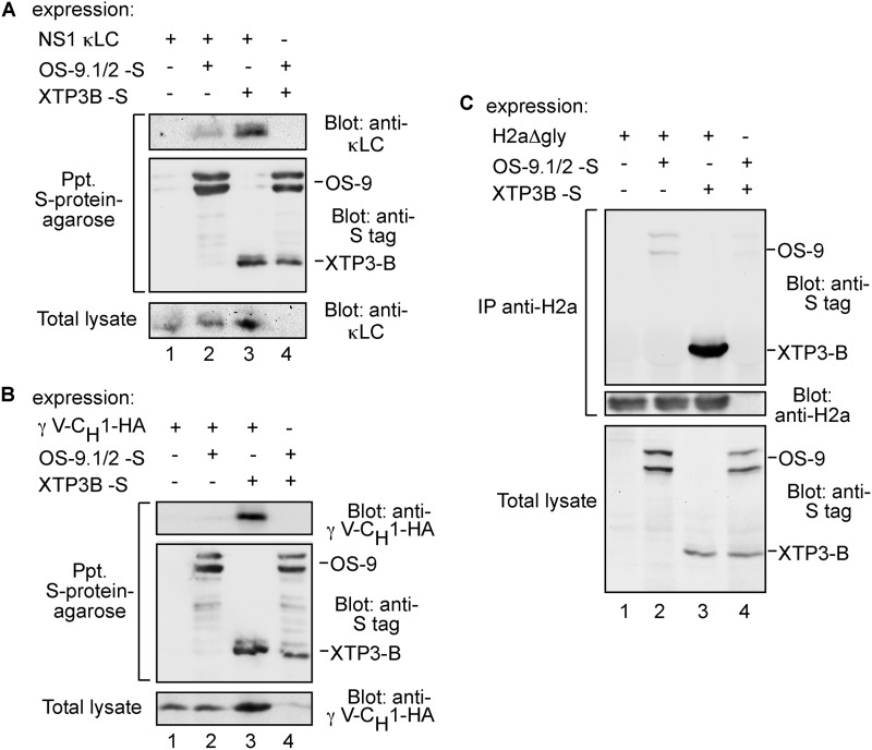 FIGURE 9.