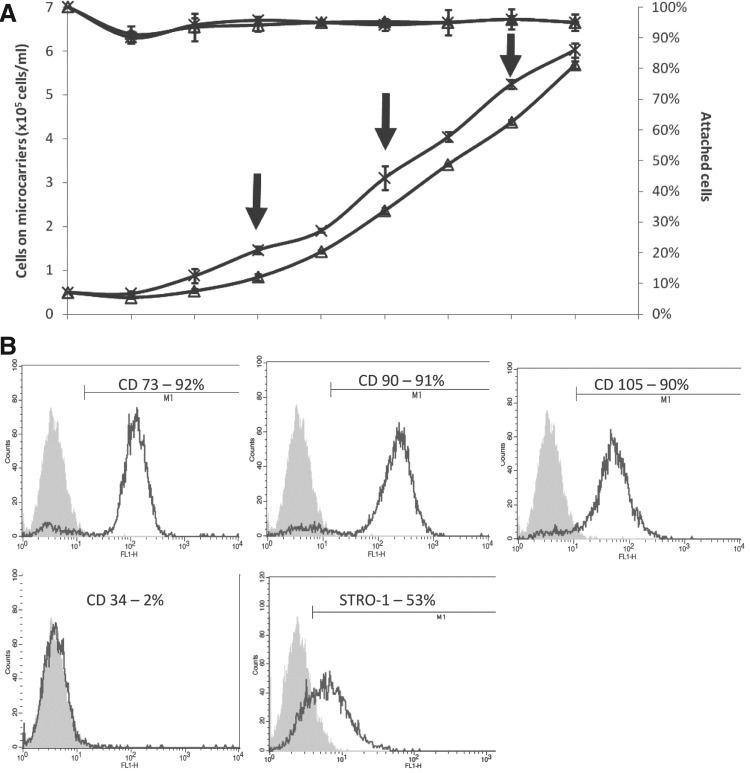 FIG. 3.