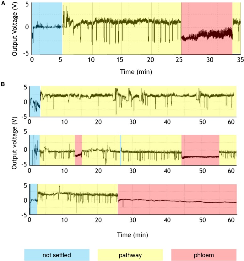 Figure 3.