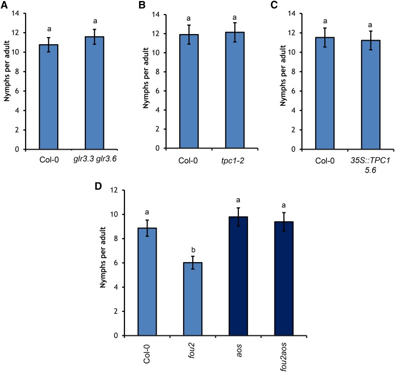 Figure 10.