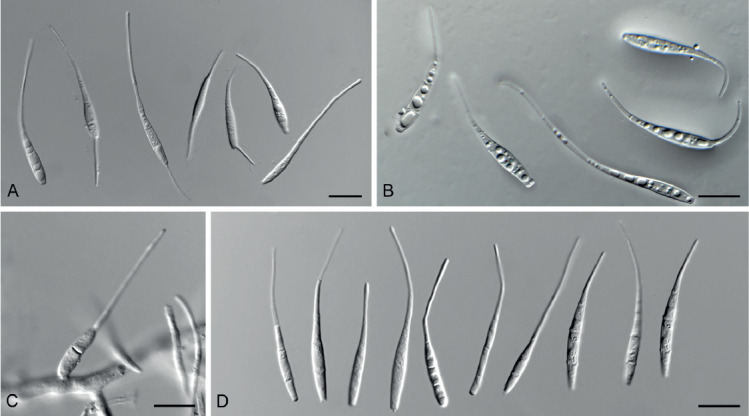 Fig. 13.