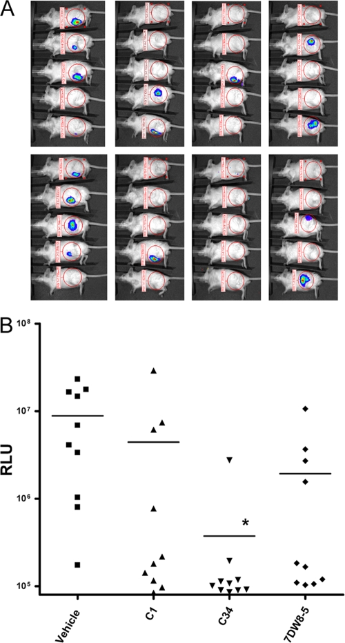 FIG. 3.