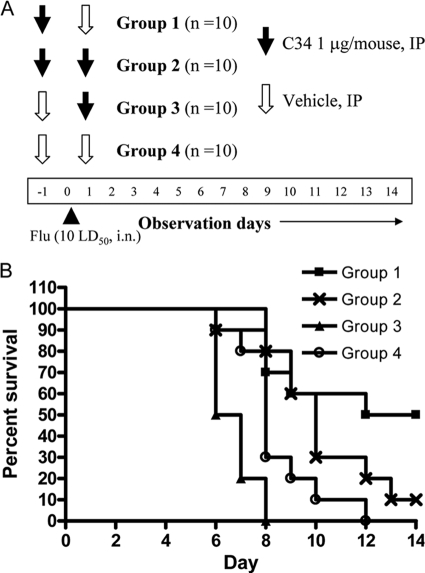 FIG. 7.