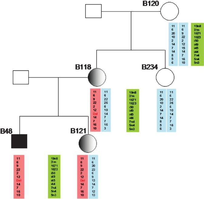 Fig. 1