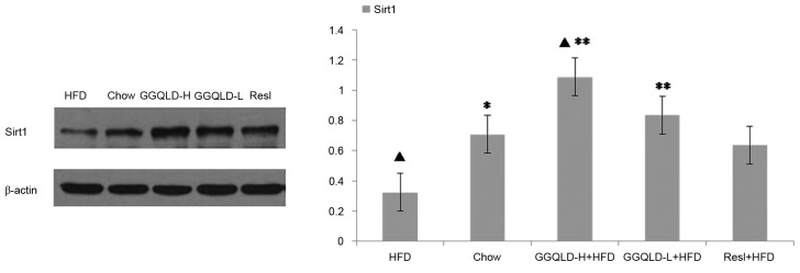 Figure 5.