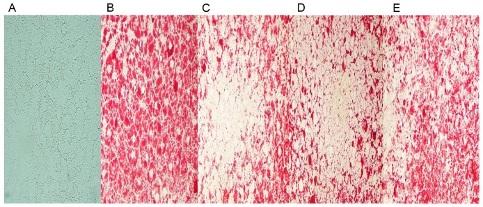 Figure 4.