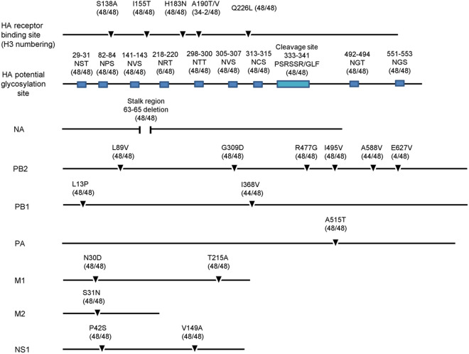 Fig. 4