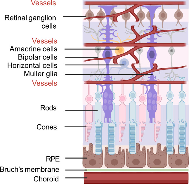 Figure 5.