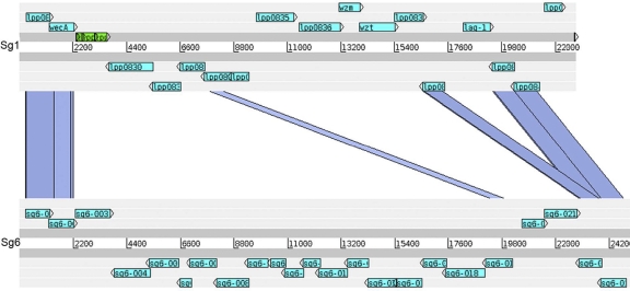 FIG. 1.