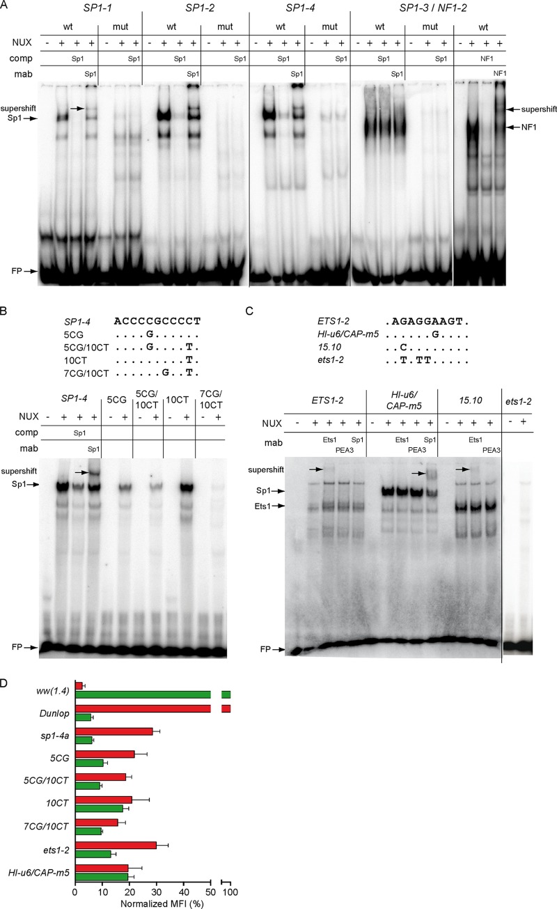 FIG 7