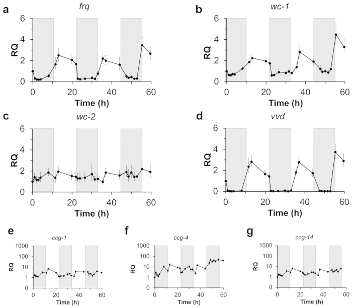 Figure 5