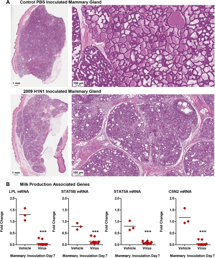 Fig 10