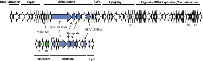 FIG 2