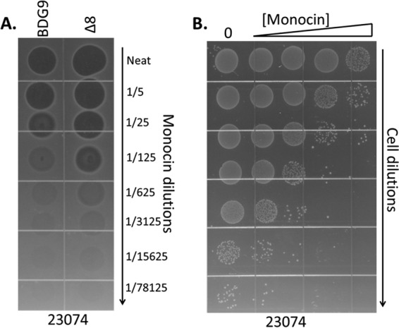 FIG 3