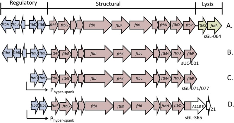 FIG 1