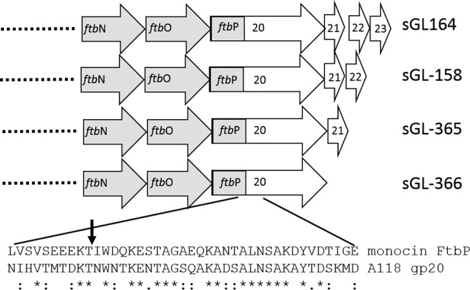 FIG 4